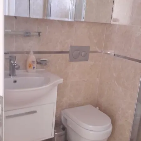 Mountain View Apt 4 *